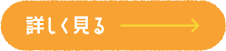詳しく見るボタン03（on）